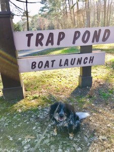 boat ramp sign