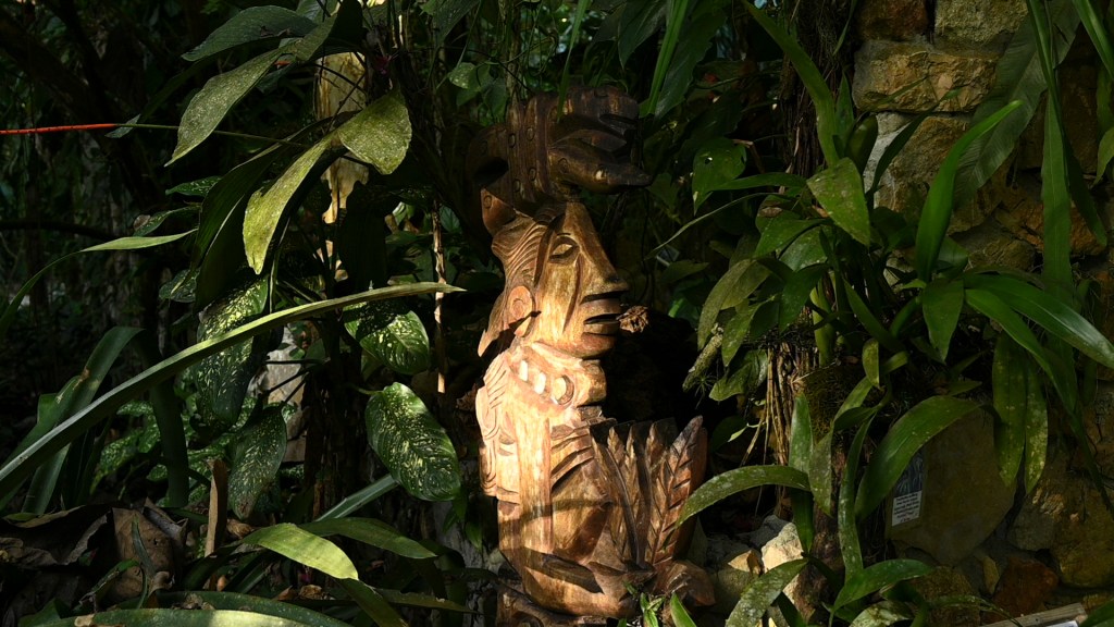 5 Nights in the&nbsp;Jungle