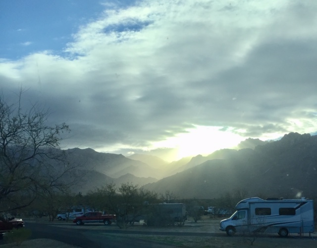 Catalina State Park – Patience,&nbsp;Grasshopper