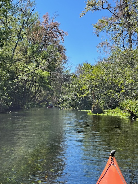 Sharing the Ichetucknee