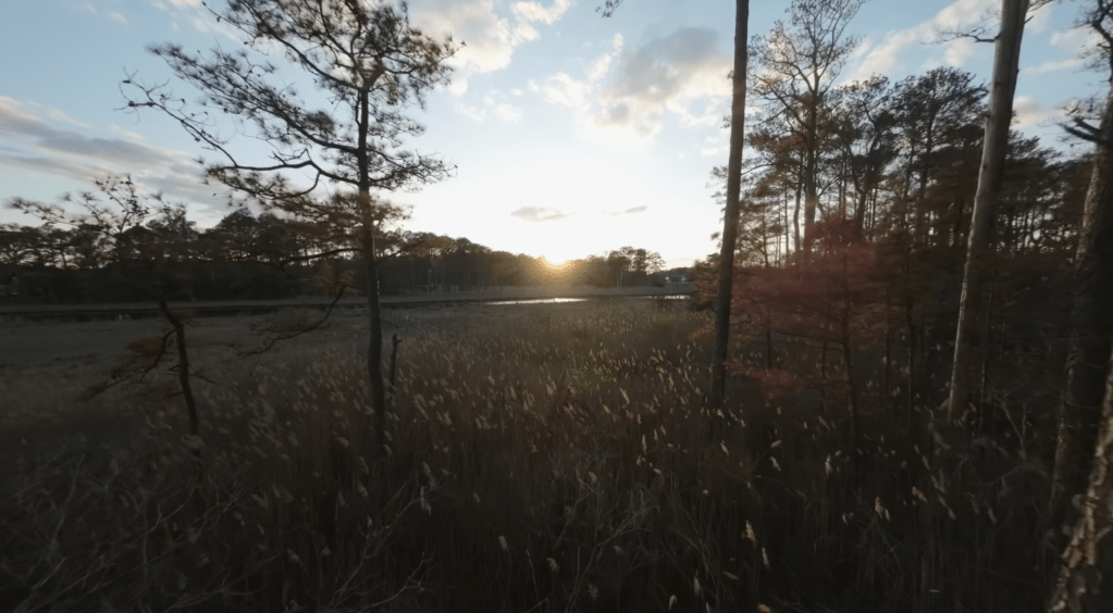 Dirickson Creek Flyover