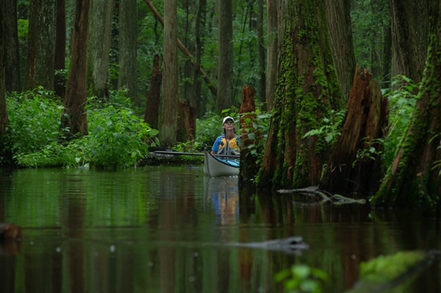 Kayaking on Trussum Pond