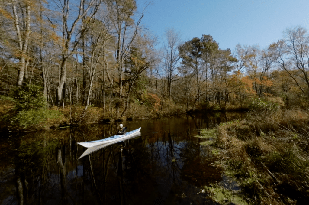 A Fall Paddle on Millsboro&nbsp;Pond