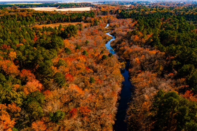 A By-Pass Runs Through It – Is Millsboro Pond Still Worth&nbsp;Paddling?